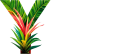 STUDIOS NOFYLOU